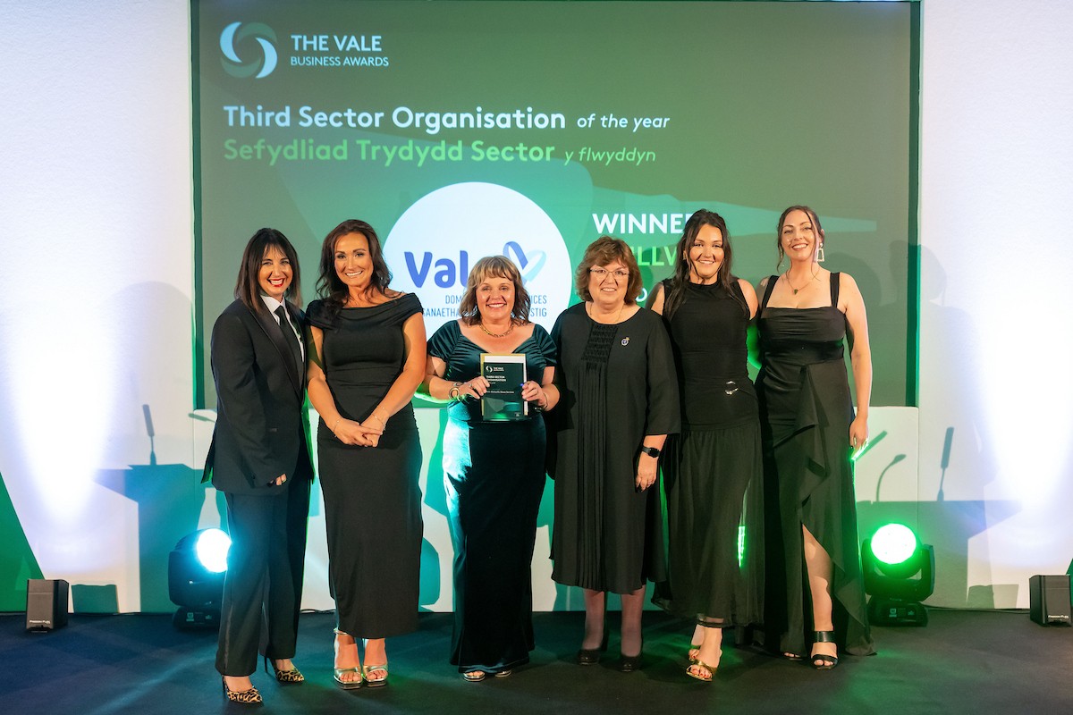 Vale Domestic Abuse Services Wins Third Sector Organisation of the Year ...